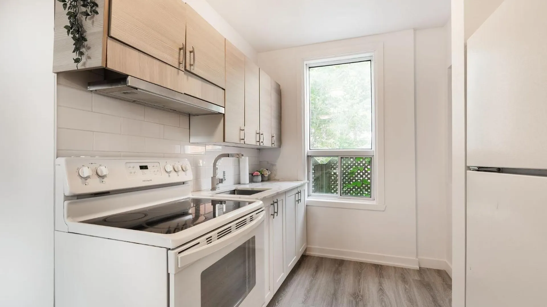 Appartement 1 Chambre-1011 Montreal