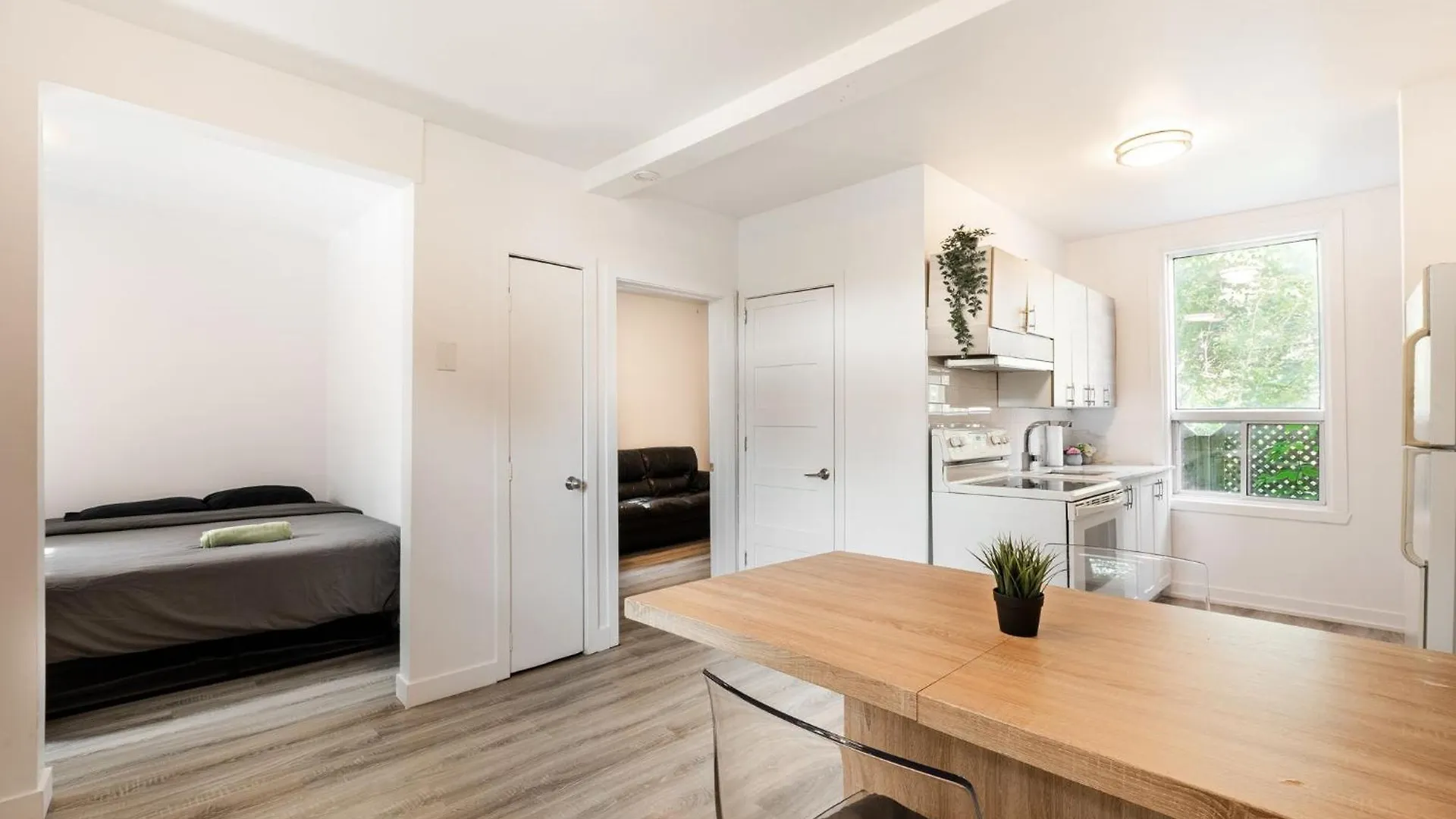 Appartement 1 Chambre-1011 Montréal